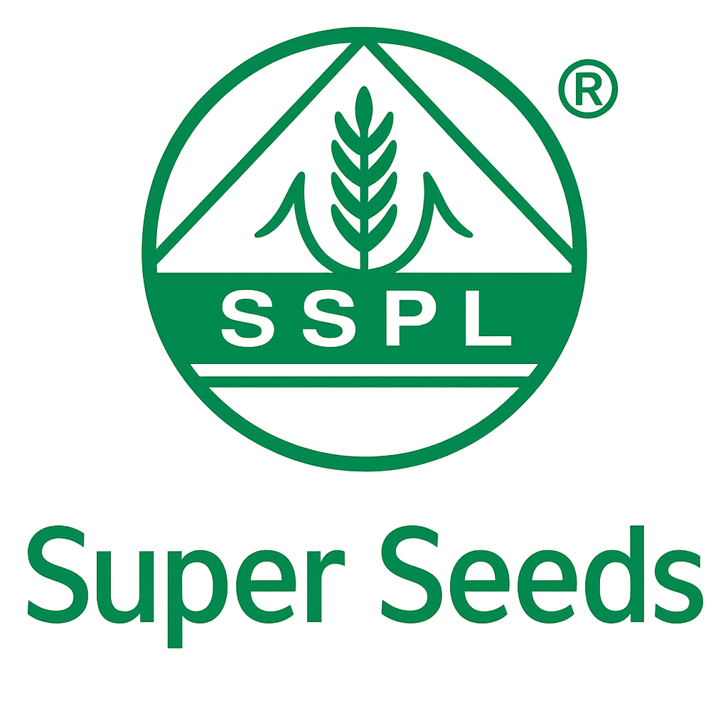Logo 14